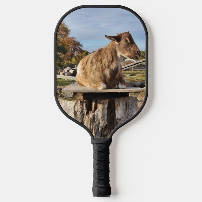 Pickleball Paddle "Goat" (Front)