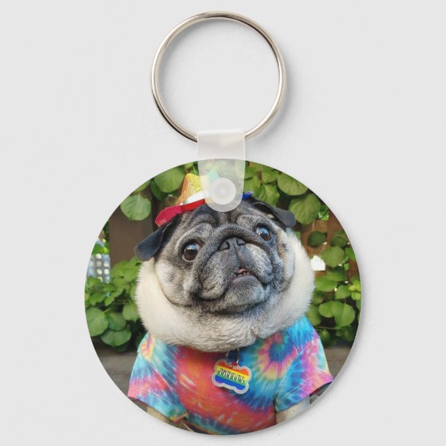 Pickles Colourful Keychain (Front)