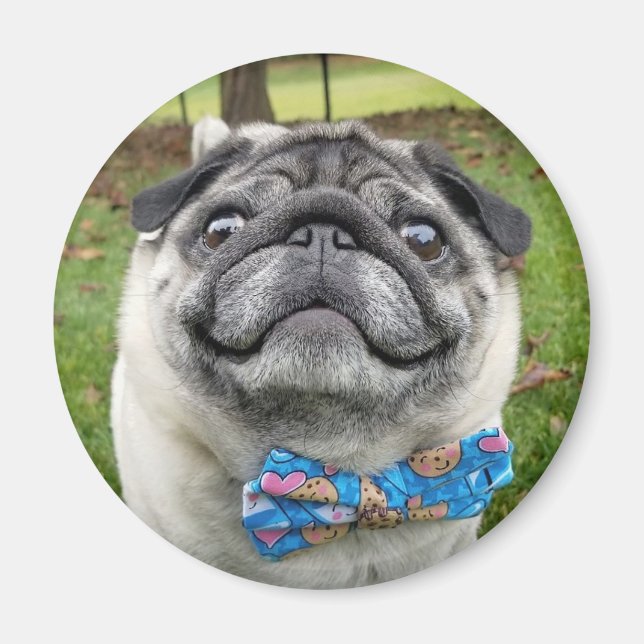 Pickles Magnet (Front)