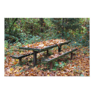 Picnic Bench 19" x 13" Photo Enlargement