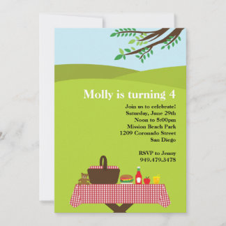 Picnic Birthday Party Invitation