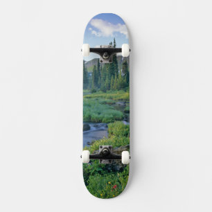 Picnic Creek in the Jewel Basin of the Swan Skateboard