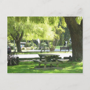 Picnic Ground Postcard
