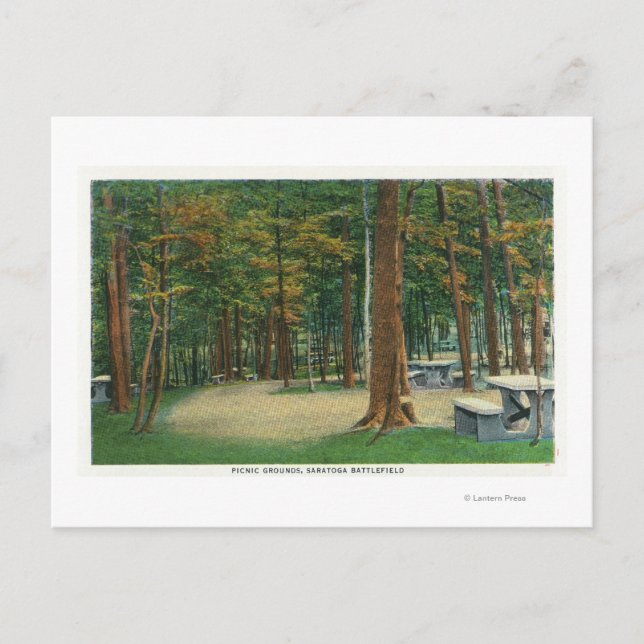Picnic Grounds View of Saratoga Battlefield Postcard (Front)