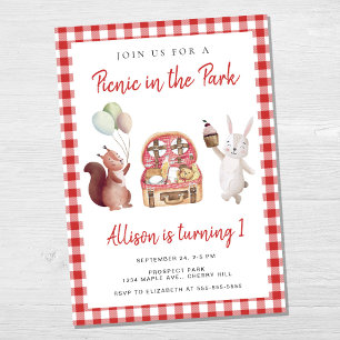 Picnic in the Park Child Birthday Party Invitation