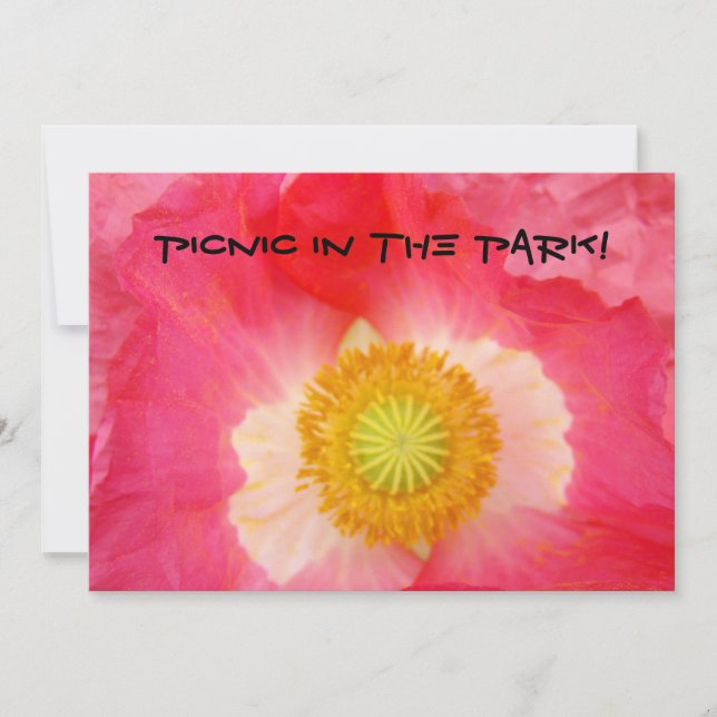 PicNic in the Park! Invitation Cards BBQ Celebrate (Front)