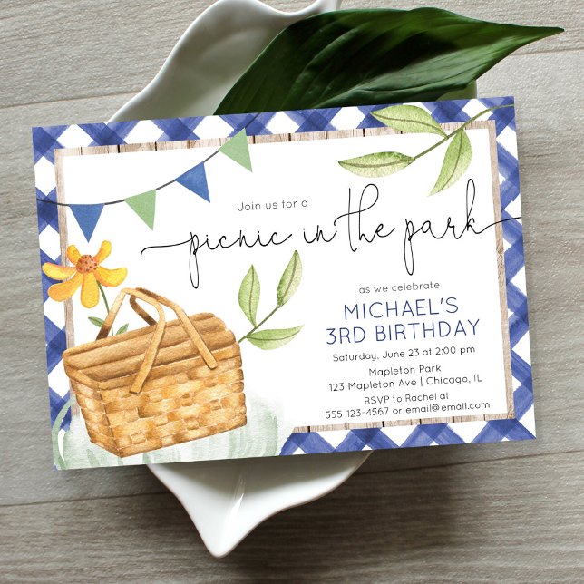 Picnic in the park summer blue boy birthday party invitation (Creator Uploaded)