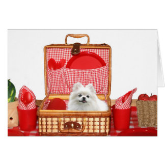 Picnic Pomeranian