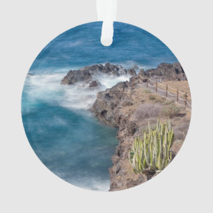 Picnic site El Sauzal Ornament