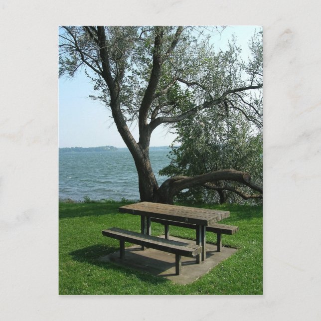 Picnic Table Along The Shoreline Postcard (Front)