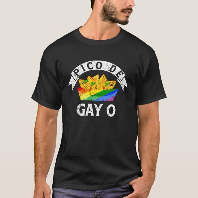 Pico de Gayo Month Human Rights Proud Ally Queer L T-Shirt (Front)