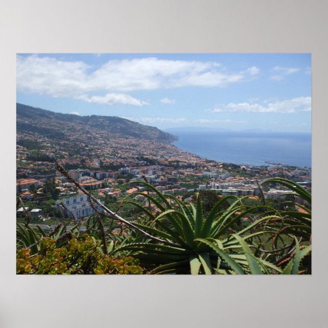 Pico dos Barcelos II Poster (Front)