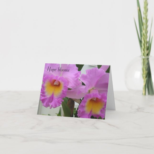 PICT0393, Hope blooms Thank You Card (Front)