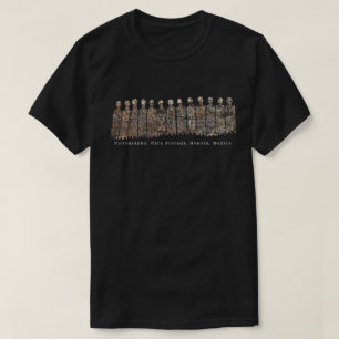 Pictographs, Cara Pintada, Sonora, Mexico T-Shirt