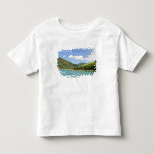 Picton, New Zealand. The gateway between North Toddler T-Shirt