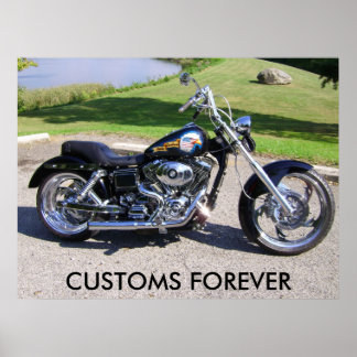 Picture 010, CUSTOMS FOREVER Poster