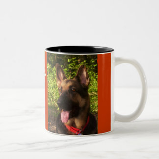 Picture_0511, LOYALTY, DEVOTION,LOVE,MY GSDLUCK... Two-Tone Coffee Mug