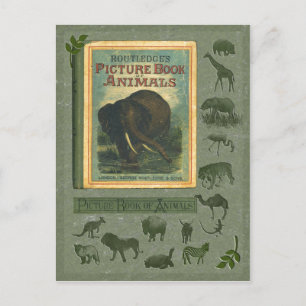Picture Book of Animals Postcard