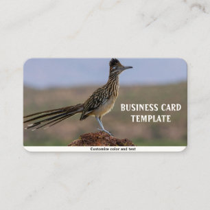 Picture Nature Desert Bird Roadrunner Business Card