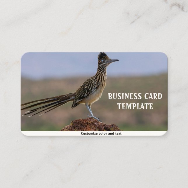 Picture Nature Desert Bird Roadrunner Business Card (Front)