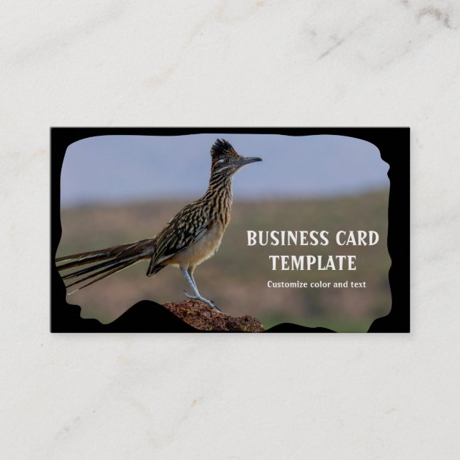 Picture Nature Desert Bird Roadrunner Business Card (Front)