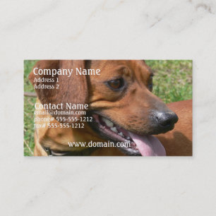 Picture of a Dachshund Business Card