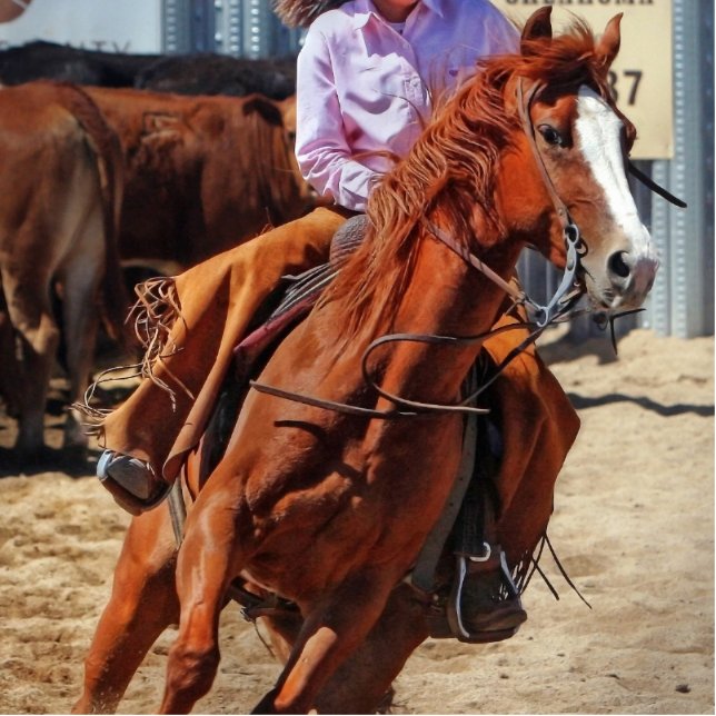 Picture Of A Horse And A Cowgirl Standing Photo Sculpture (Front)