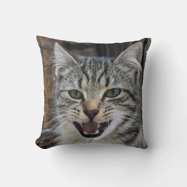 Picture of a wild, excited kitten, cat lovers cushion (Front)