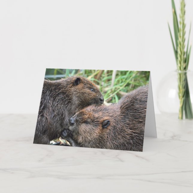 Picture of Beavers Grooming Card (Front)