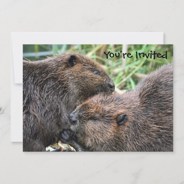 Picture of Beavers Grooming Invitation (Front)