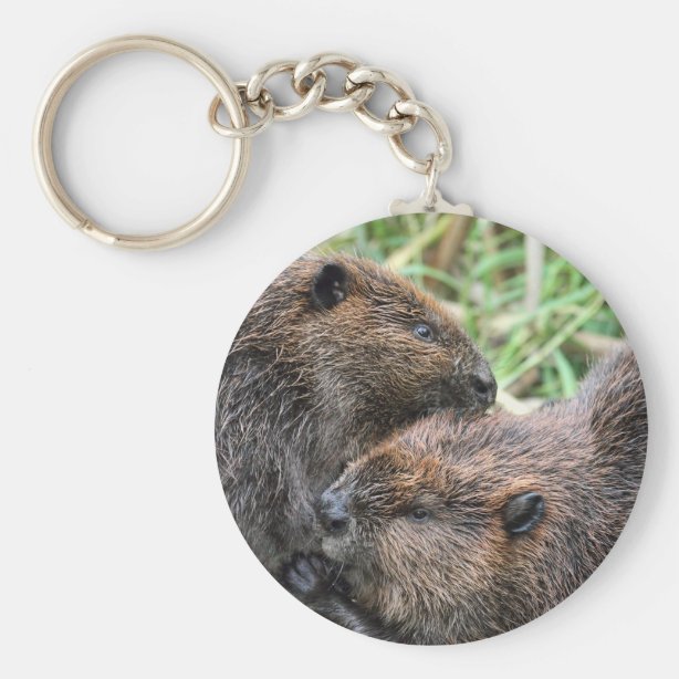 Beaver Gifts & Gift Ideas | Zazzle UK