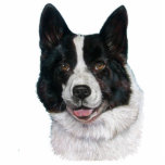 picture of black and white bear dog photo sculpture key ring<br><div class="desc">This is Sweetie, I painted her portrait a few years ago. She’s thought to be a bear dog but because she’s a rescue dog no-one is quite sure. So because she looks very much like an akita I’m going to categorise her as an akita. This pretty akita girl looks great...</div>