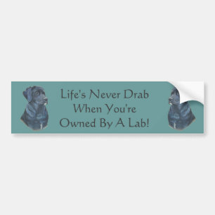 picture of black labrador dog with fun slogan bumper sticker