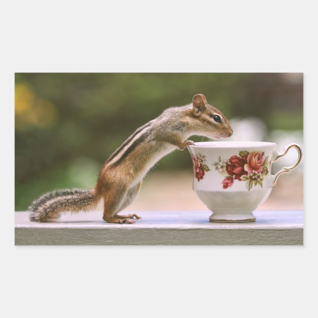 Picture of Chipmunk with China Teacup Rectangular Sticker (Front)