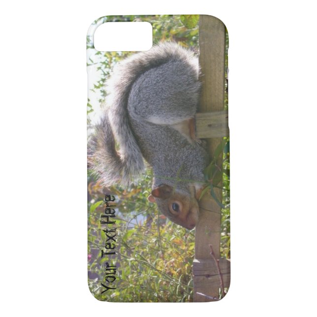 picture of cute grey squirrel sleeping wildlife Case-Mate iPhone case (Back)
