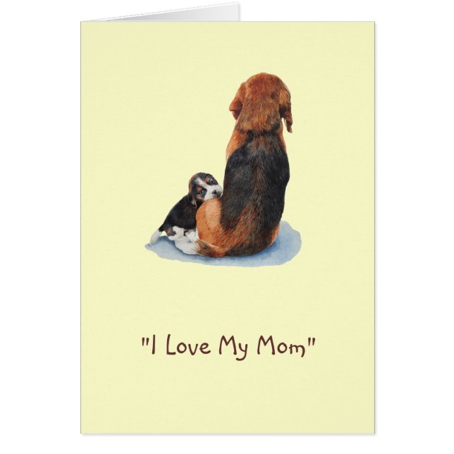 picture of cute puppy beagle dog cuddling mum (Front)