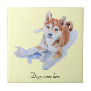picture of cute puppy sheba inu and teddy tile