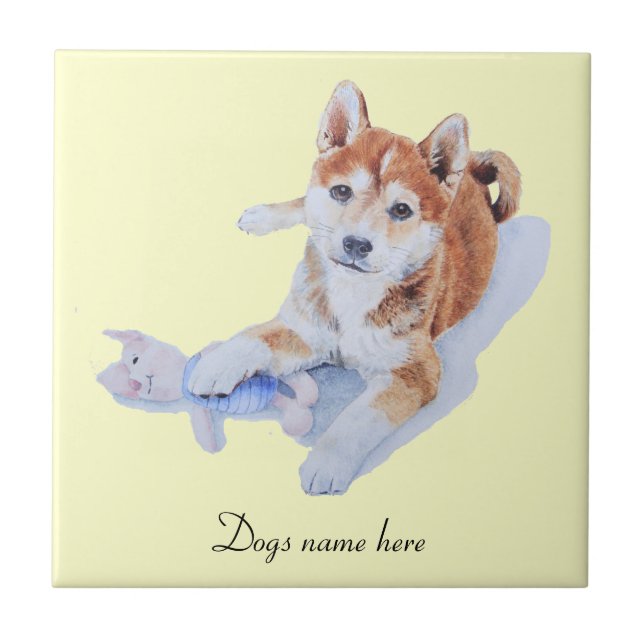 picture of cute puppy sheba inu and teddy tile (Front)