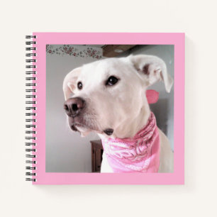 Picture of Cute White Puppy Dog Wearing Pink Scarf Notebook