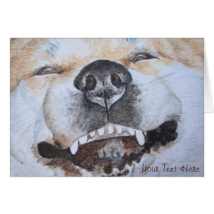 picture of funny cute akita smiling dog