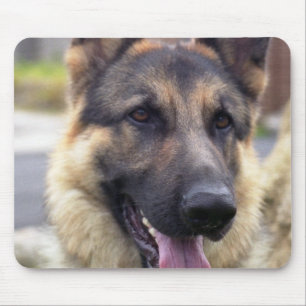 Picture of German Shepherd  Mouse Pad