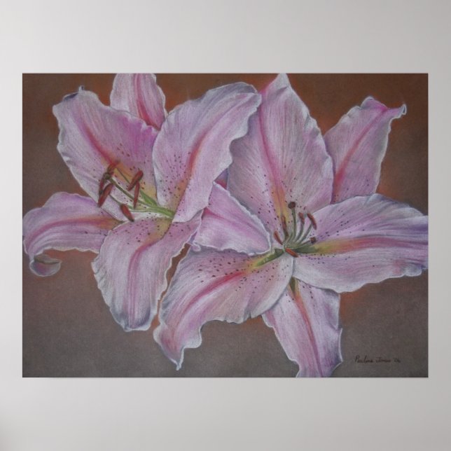 picture of pink lily flower original realist art poster (Front)