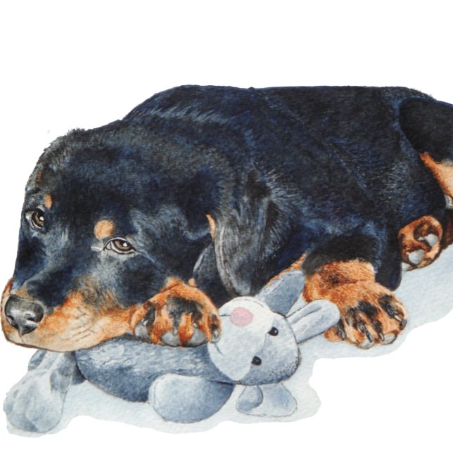 picture of puppy cuddling teddy rottweiler dog (Creator Uploaded)