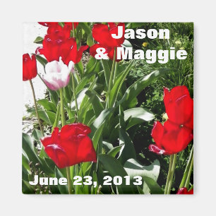 Picture of Red Tulips Save the Date Magnet