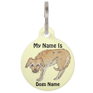 picture of scruffy mixed breed dog pet tag