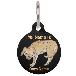 picture of scruffy mixed breed dog pet tag