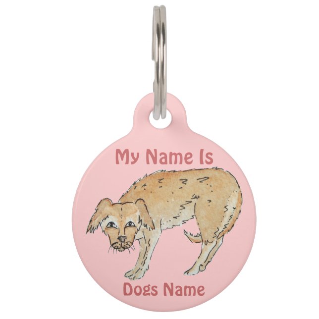 picture of scruffy mixed breed dog pet tag (Front)