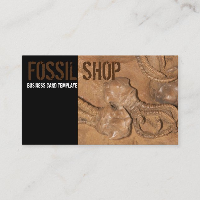 Picture of Sea Animal Fossils Business Card (Front)
