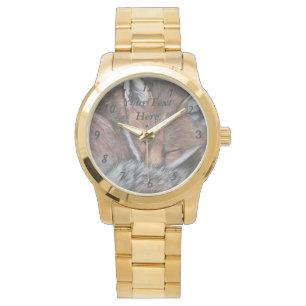 picture of sleeping cute red fox wildlife watch