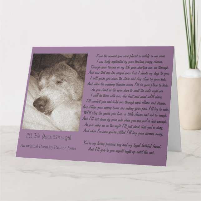 picture osleeping old dog sympathy poem card (Front)